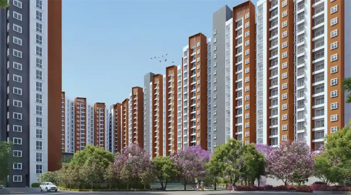 Provident Botanico