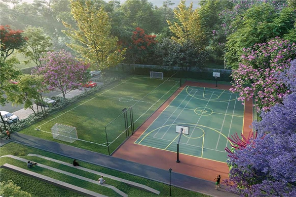 Sports Court