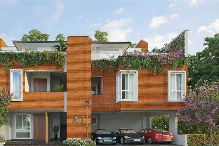 embassy terrace